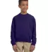 562B Jerzees Youth NuBlend® Crewneck 50/50 Sweats in Deep purple front view