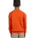 562B Jerzees Youth NuBlend® Crewneck 50/50 Sweats in Safety orange back view