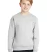 562B Jerzees Youth NuBlend® Crewneck 50/50 Sweats in Ash front view