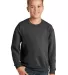 562B Jerzees Youth NuBlend® Crewneck 50/50 Sweats in Black heather front view