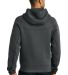 Nike NKFQ4762  Tech Fleece Full-Zip Hoodie in Anthrctht