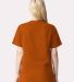 American Apparel 9001 Super Heavyweight Tee in Rust