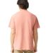 Comfort Colors 1717 Garment Dyed Heavyweight T-Shi in Peachy back view