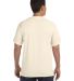 Comfort Colors 1717 Garment Dyed Heavyweight T-Shi in Ivory back view