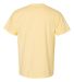 1717 Comfort Colors - Garment Dyed Heavyweight T-S Banana back view