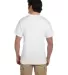 5170 Hanes® Comfortblend 50/50 EcoSmart® T-shirt White back view