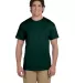 5170 Hanes® Comfortblend 50/50 EcoSmart® T-shirt Deep Forest front view