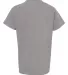 9018 Comfort Colors - Pigment-Dyed Ringspun Youth  Grey back view