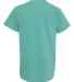 9018 Comfort Colors - Pigment-Dyed Ringspun Youth  Seafoam back view
