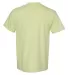 6030 Comfort Colors - Pigment-Dyed Short Sleeve Sh Celadon back view