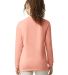 Comfort Colors 6014 6.1 Ounce Ringspun Cotton Long in Peachy back view
