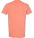 4017 Comfort Colors - Combed Ringspun Cotton T-Shi Terracotta back view