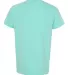 4017 Comfort Colors - Combed Ringspun Cotton T-Shi Chalky Mint back view