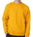 S600 Champion Logo Double Dry Crewneck Pullover sw Gold front view