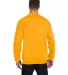 S600 Champion Logo Double Dry Crewneck Pullover sw Gold back view