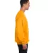 S600 Champion Logo Double Dry Crewneck Pullover sw Gold side view