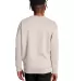 S600 Champion Logo Double Dry Crewneck Pullover sw Body Blush back view