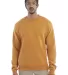 S600 Champion Logo Double Dry Crewneck Pullover sw Gold Glint front view
