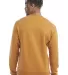 S600 Champion Logo Double Dry Crewneck Pullover sw Gold Glint back view