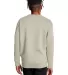S600 Champion Logo Double Dry Crewneck Pullover sw Sand back view