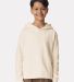 Comfort Colors 1467Y Youth Garment-Dyed Lightweight Fleece Hooded Sweatshirt Catalog