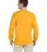 4930 Fruit of the Loom® Heavy Cotton HD Long Slee Gold back view