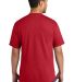 Port & Company PC340 in Red