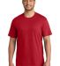 Port & Company PC340 in Red