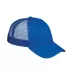 BX019 Big Accessories 6-Panel Structured Trucker C ROYAL front view