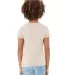 BELLA+CANVAS 3001YCVC Jersey Youth T-Shirt in Heather dust back view