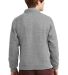 Jerzees 4528M Unisex Super Sweats NuBlend® Quarte in Oxford