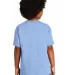 Gildan 5000B Heavyweight Cotton Youth T-shirt  in Light blue back view