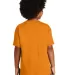 Gildan 5000B Heavyweight Cotton Youth T-shirt  in Tennessee orange back view