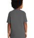Gildan 2000B Ultra Cotton Youth T-shirt in Charcoal back view