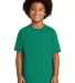 Gildan 2000B Ultra Cotton Youth T-shirt in Kelly green front view