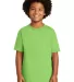 Gildan 2000B Ultra Cotton Youth T-shirt in Lime front view