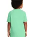 Gildan 2000B Ultra Cotton Youth T-shirt in Mint green back view