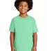 Gildan 2000B Ultra Cotton Youth T-shirt in Mint green front view