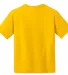 8000B Gildan Ultra Blend 50/50 Youth T-shirt in Daisy back view
