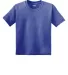 8000B Gildan Ultra Blend 50/50 Youth T-shirt in Hthr sport royal front view