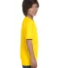 8000B Gildan Ultra Blend 50/50 Youth T-shirt in Daisy side view