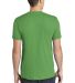American Apparel 2001 USA Made Mens 100% Cotton Fi in Grass back view