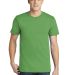 American Apparel 2001 USA Made Mens 100% Cotton Fi in Grass front view