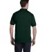054X Stedman by Hanes® Blended Jersey Deep Forest back view