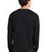 5286 Hanes® Heavyweight Long Sleeve T-shirt in Black back view
