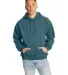 F170 Hanes PrintPro XP Ultimate Cotton Hooded Swea Cactus front view