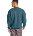 F260 Hanes® Ultimate Cotton® Sweatshirt Cactus back view