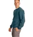 F260 Hanes® Ultimate Cotton® Sweatshirt Cactus side view
