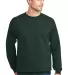 F260 Hanes® Ultimate Cotton® Sweatshirt Deep Forest front view