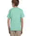 5370 Hanes® Heavyweight 50/50 Youth T-shirt Clean Mint back view
